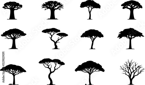 Tree  Vector Silhouettes  Bundle Collection