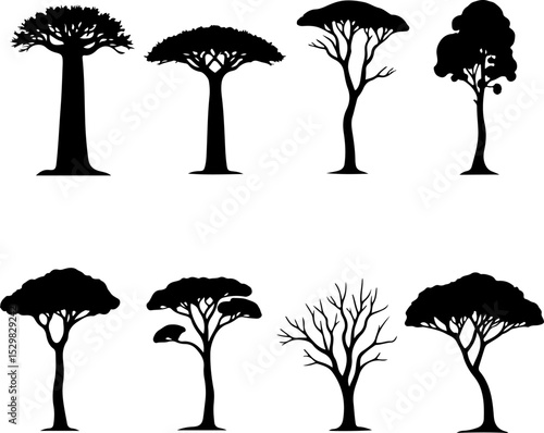 Tree  Vector Silhouettes  Bundle Collection