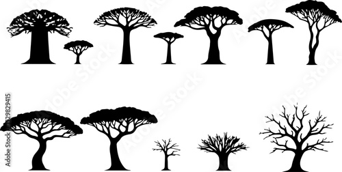 Tree  Vector Silhouettes  Bundle Collection