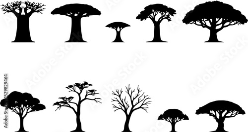 Tree  Vector Silhouettes  Bundle Collection