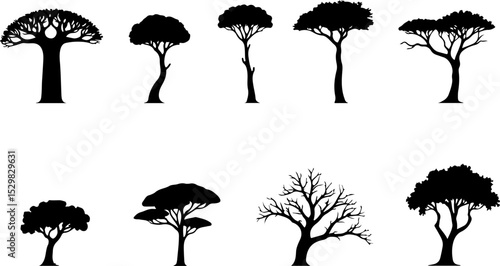 Tree  Vector Silhouettes  Bundle Collection