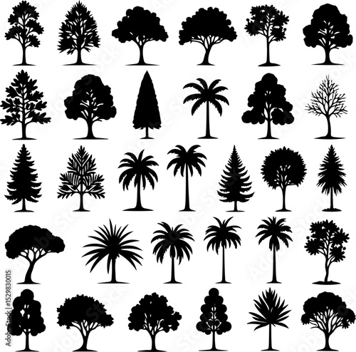 Tree  Vector Silhouettes  Bundle Collection