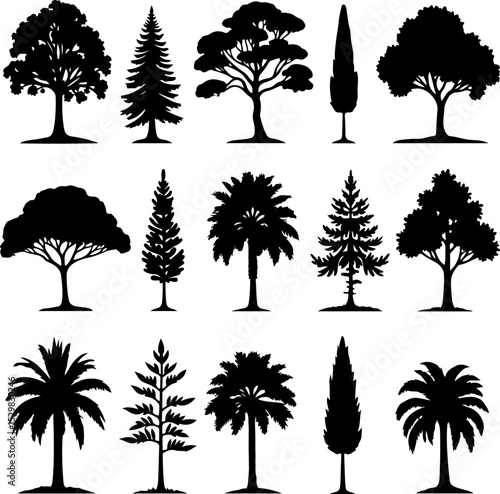 Tree  Vector Silhouettes  Bundle Collection