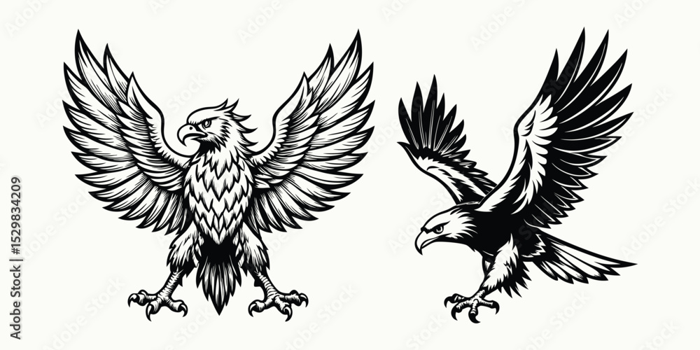Fototapeta premium Spread Eagle Vector Art - Black and White Majestic Eagle Illustrations