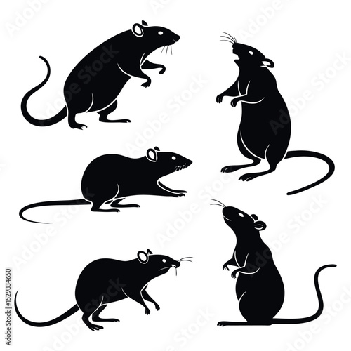 Vector Set of Rat Silhouettes – Rodent Clip Art Collection for Wildlife and Pest Themes