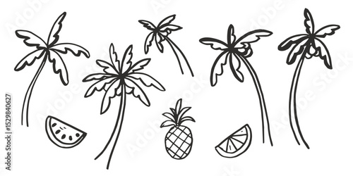 Set of doodle style palm trees and fruits in vector.
