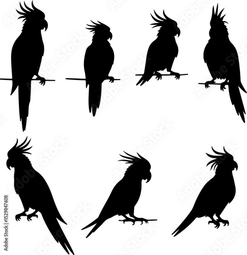 Cockatoo Vector  Silhouettes Bundle