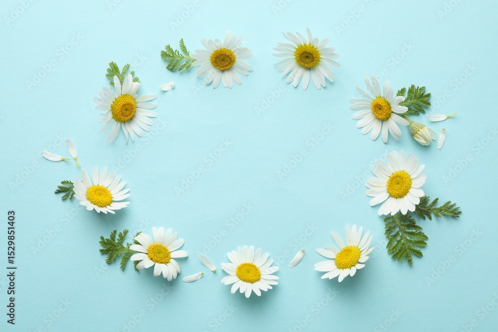 Obraz premium Beautiful chamomile flowers and green leaves on light blue background, flat lay. Space for text