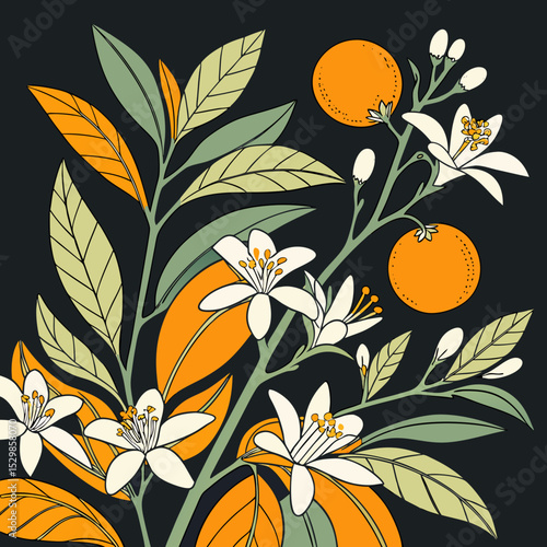 Orange blossom branch with fruit dark background