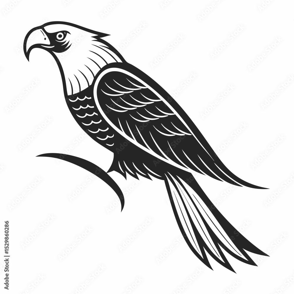 Obraz premium Professional eagle illustration isolated on white background