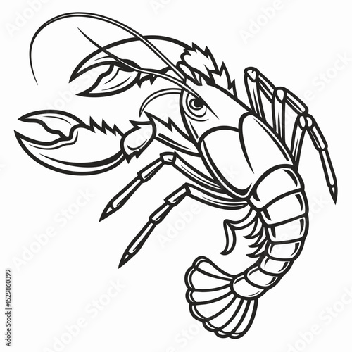 Professional crayfish illustration isolated on white background