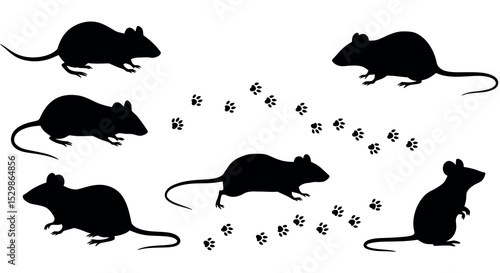 Silhouette of five mice with paw prints on a white background vector illustration