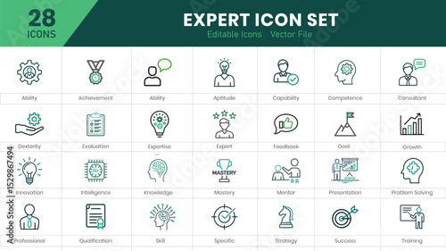 Expert icon set. Containing advice, competence, expertise, knowledge, skill, specialist, experience and more. Solid vector icons collection.
