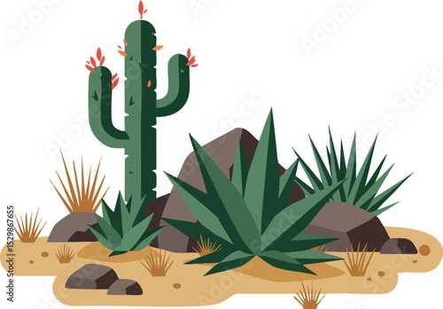 Desert plants with cactus and agave in arid landscape vector illustration 