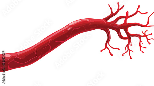 Medical Blood Vessel Artery Vector Illustration Isolated for Professionals