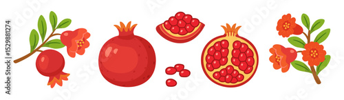 Pomegranate set, whole and half fruits with seeds, branches, green leaves, pomegranate flowers. flat style, isolated icons. For digital and print projects, packaging, greeting cards, botanical posters