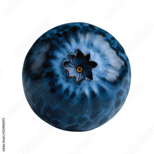 Single blueberry vector illustration fresh juicy and detailed design