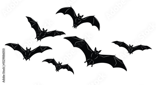 A Comprehensive Look at the Characteristics and Behaviors of Various Bat Species Worldwide