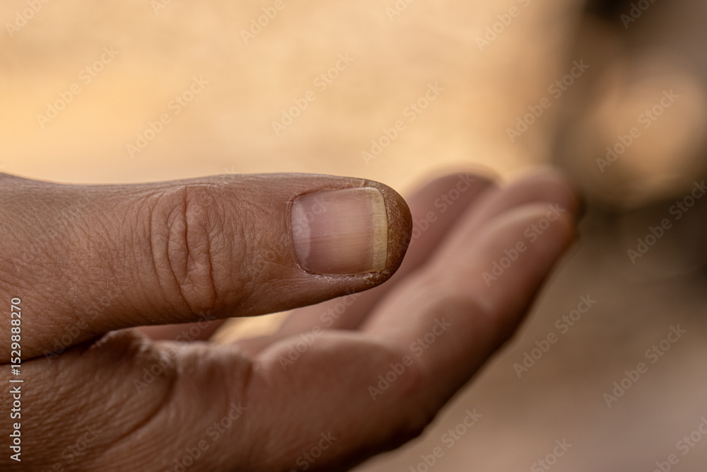 close up of a mans hand close up of a mans hand
