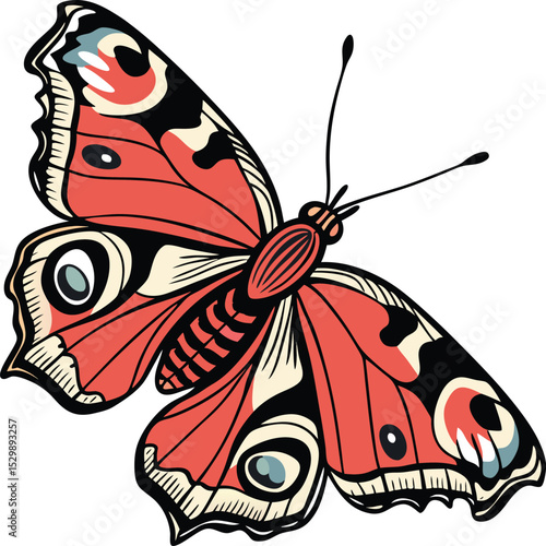 Butterfly with Eye Spot Markings Illustration Vector Design