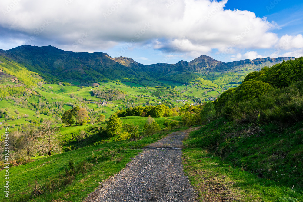 Fototapeta premium Summit of Puy Mary in the Cantal mountains from a hiking trail through the forest of Mandailles-Saint-Julien