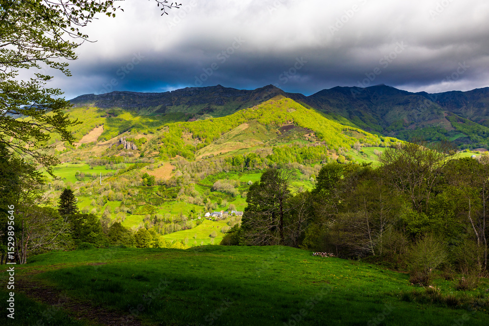 Obraz premium Panorama of the Cantal mountains around the Jordanne Valley from a hiking trail through the forest of Mandailles-Saint-Julien