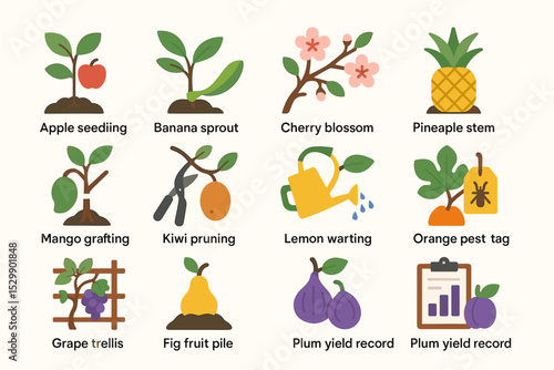Illustrated plant growth stages and gardening tools collection
