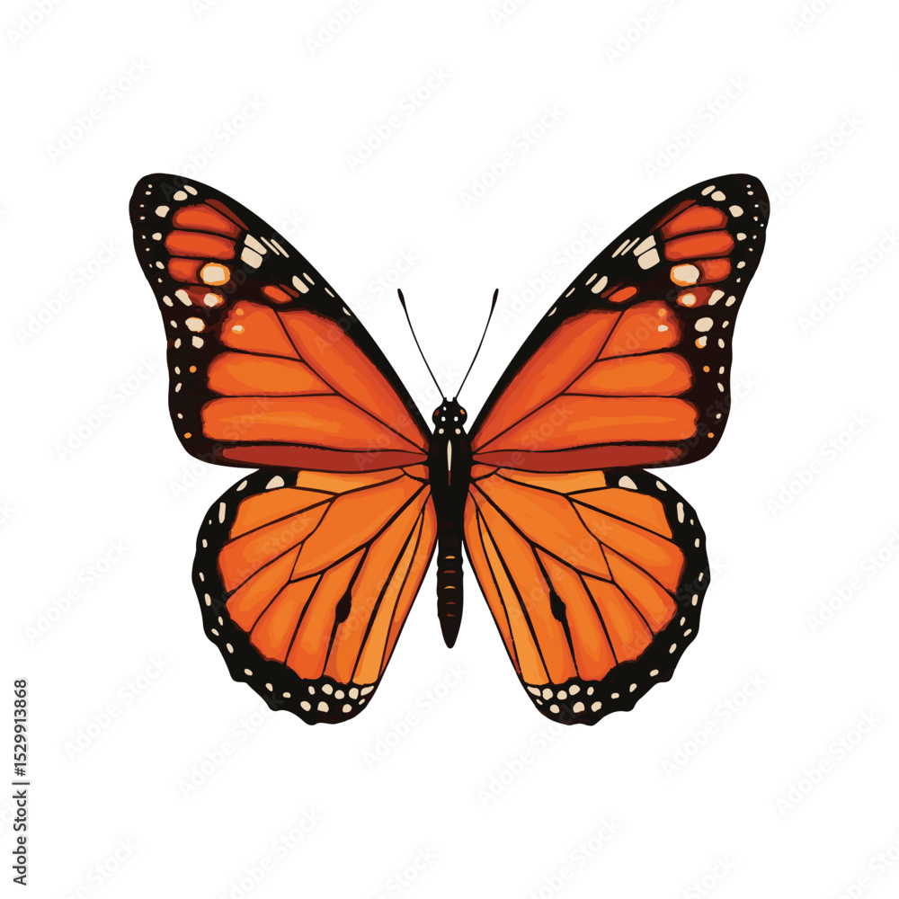 Fototapeta premium A Vivid Monarch Butterfly with Detailed Wing Patterns