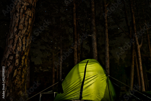 A tent in the meddle of pine tree in the forest, night view whit star sky outdoor, lifestyle concept.