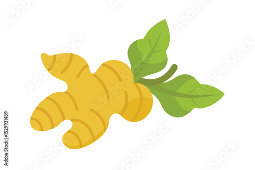 Ginger Root Isolated