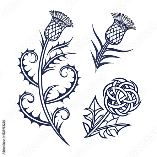 Elegant Thistle Floral Designs Vector Illustrations of Scottish Thistle & Knotwork
