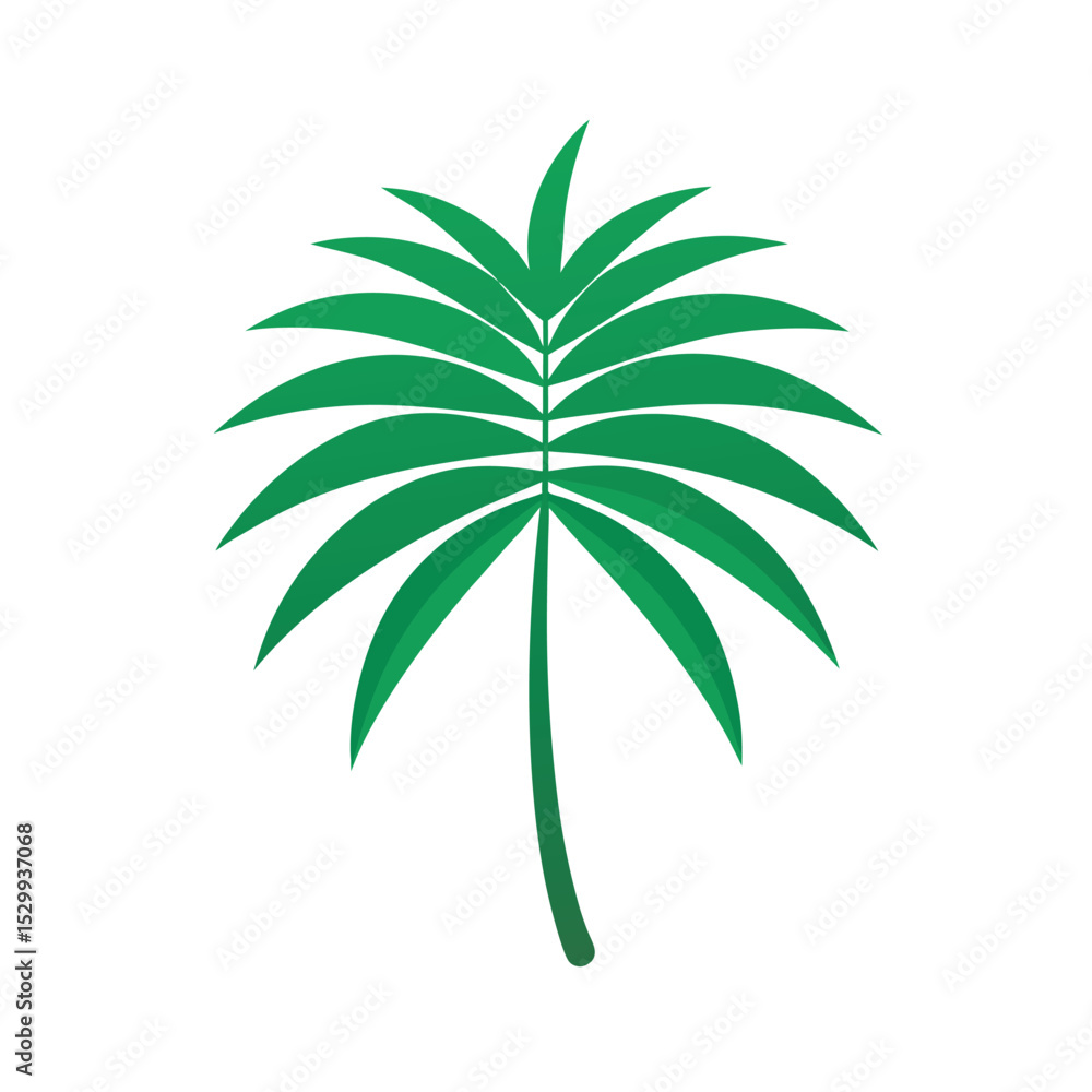 Obraz premium Palm Leaf Vector Graphic