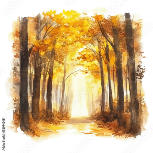 Golden Forest Bathed Sunlight, watercolor vector, isolated on a white background.