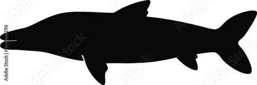 pike fish silhouette 