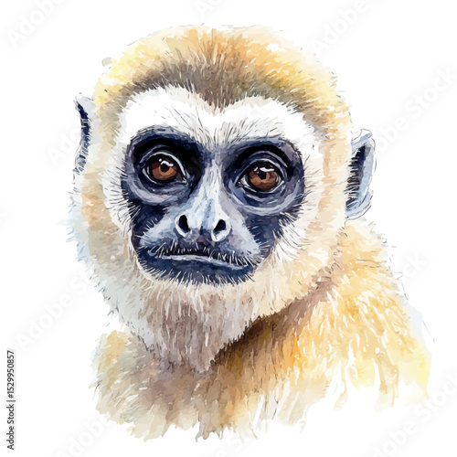 watercolor of Gibbon Close Up, vector, isolated on a white background.