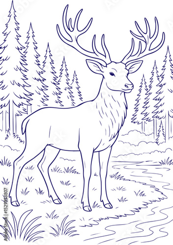 Deer standing by forest stream in black and white line art