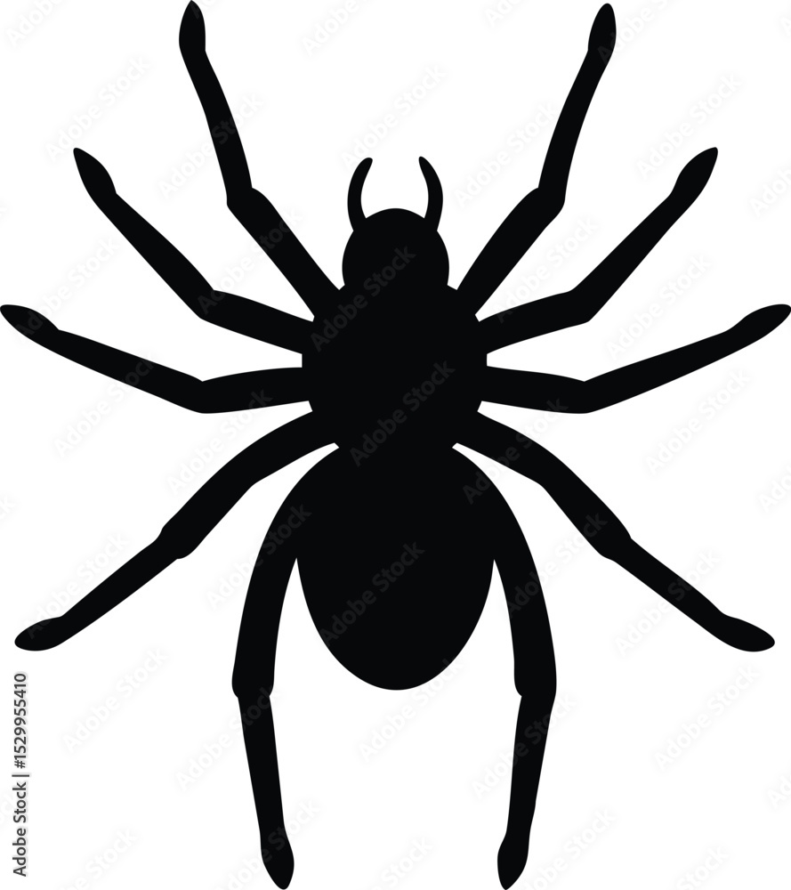 Obraz premium spider silhouette