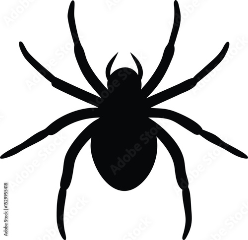 spider silhouette