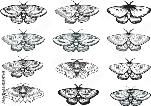 Set Witch item Halloween Clip art Line drawing outline gothic moth dark butterfly contour Black and white drawing butterfly glitch effect design hand drawn illustration dripping effect y2k bug Insect	