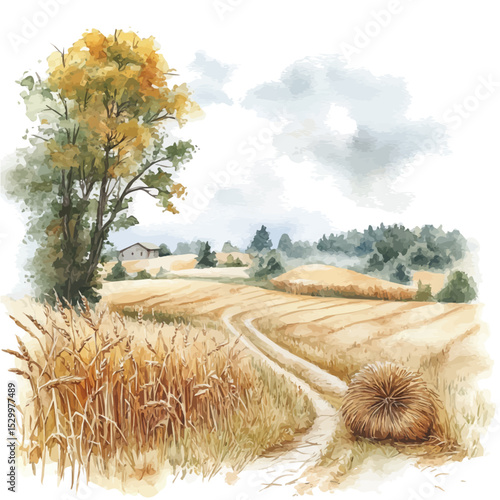 watercolor of Foggy Morning Harvest Scene, vector, isolated on a white background.