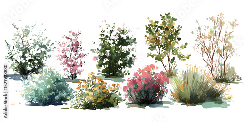 A set of bushes with flowers in different shapes.  Beautiful Campanula: Stunning Blue and Pink Flowers for Your Garden Landscape