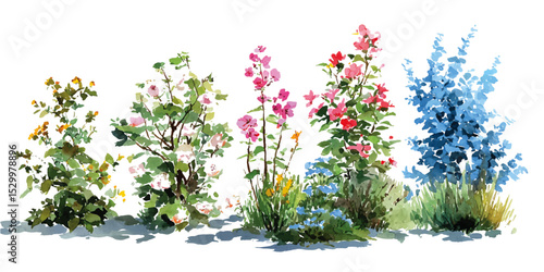 A set of bushes with flowers in different shapes.  Beautiful Campanula: Stunning Blue and Pink Flowers for Your Garden Landscape
