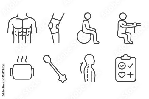 Physical Therapy Icons. Line style icons of physical therapy: muscle diagram, joint support, therapy ball, resistance exercise,