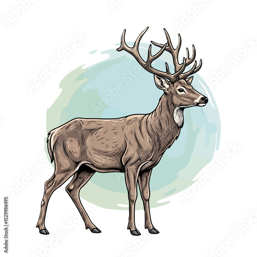 Majestic deer illustration isolated on white background