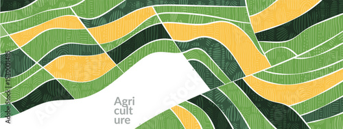 Field with abstract pattern on farm featuring rice, wheat. Green top view of corn, vineyard, agro patchwork landscape. Graphic banner with grain, aerial nature, tea plantation, farmland panorama