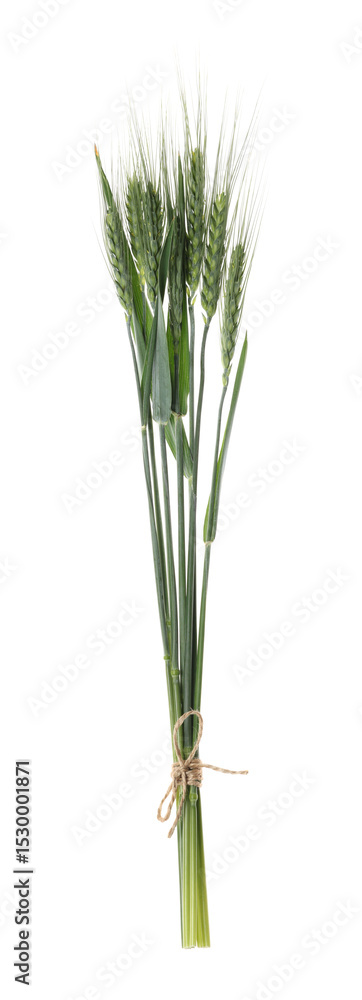 Obraz premium Beautiful green wheat spikes isolated on white