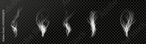 Smoke realistic transparent vector collection. Realistic transparent smoke designs.