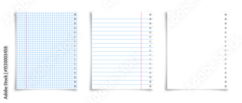 Workbook squared linear and blank paper page vector illustration