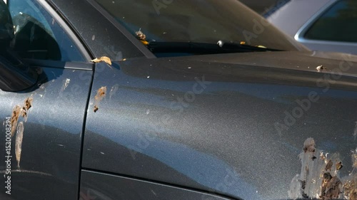 Bird droppings covering car. Bird droppings accumulate progressively on a sleek, dark gray modern car parked outdoors, creating a messy and unsightly situation for the owner