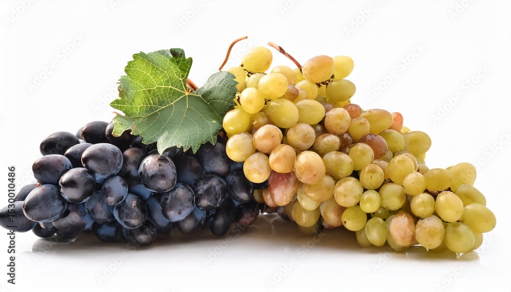 Fototapeta premium harvesting fresh grapes vineyard still life natural view organic concept isolated on white background